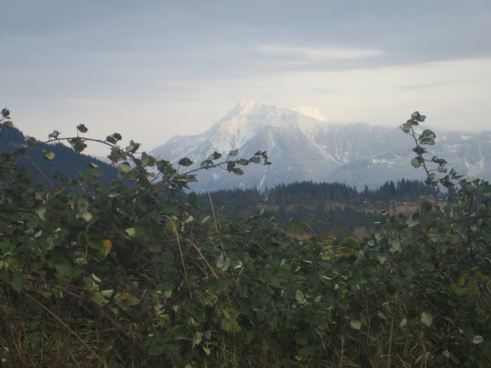 Blog Archive